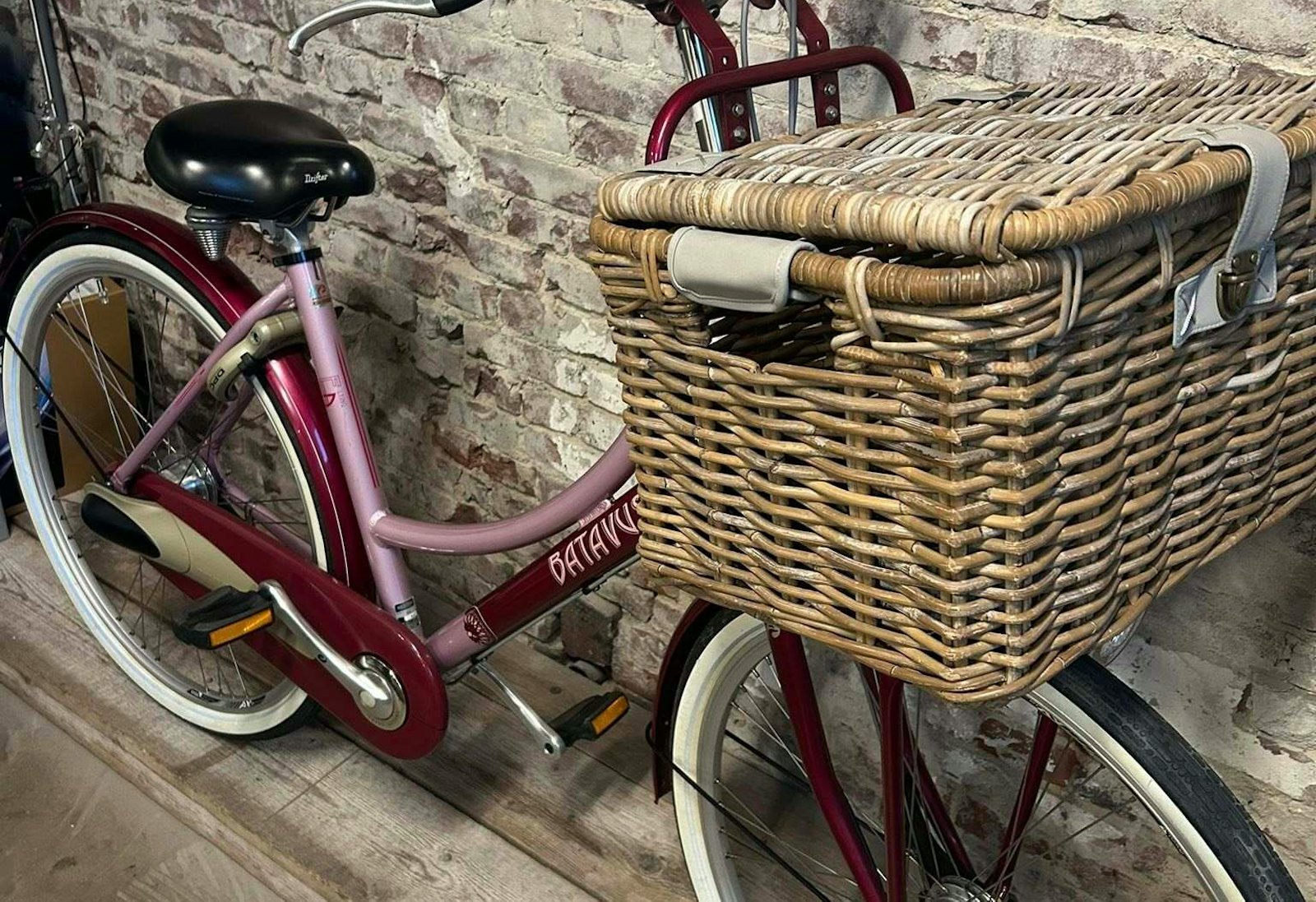 600351578 25418995934434068 6848710013404764656 n