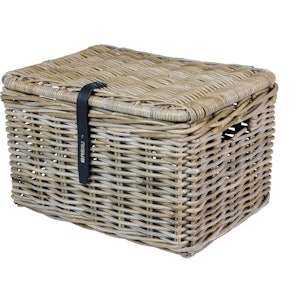 Placeholder for RMD13088